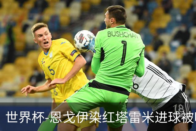 世界杯-恩戈伊染红塔雷米进球被吹 10人比利时0-0伊朗